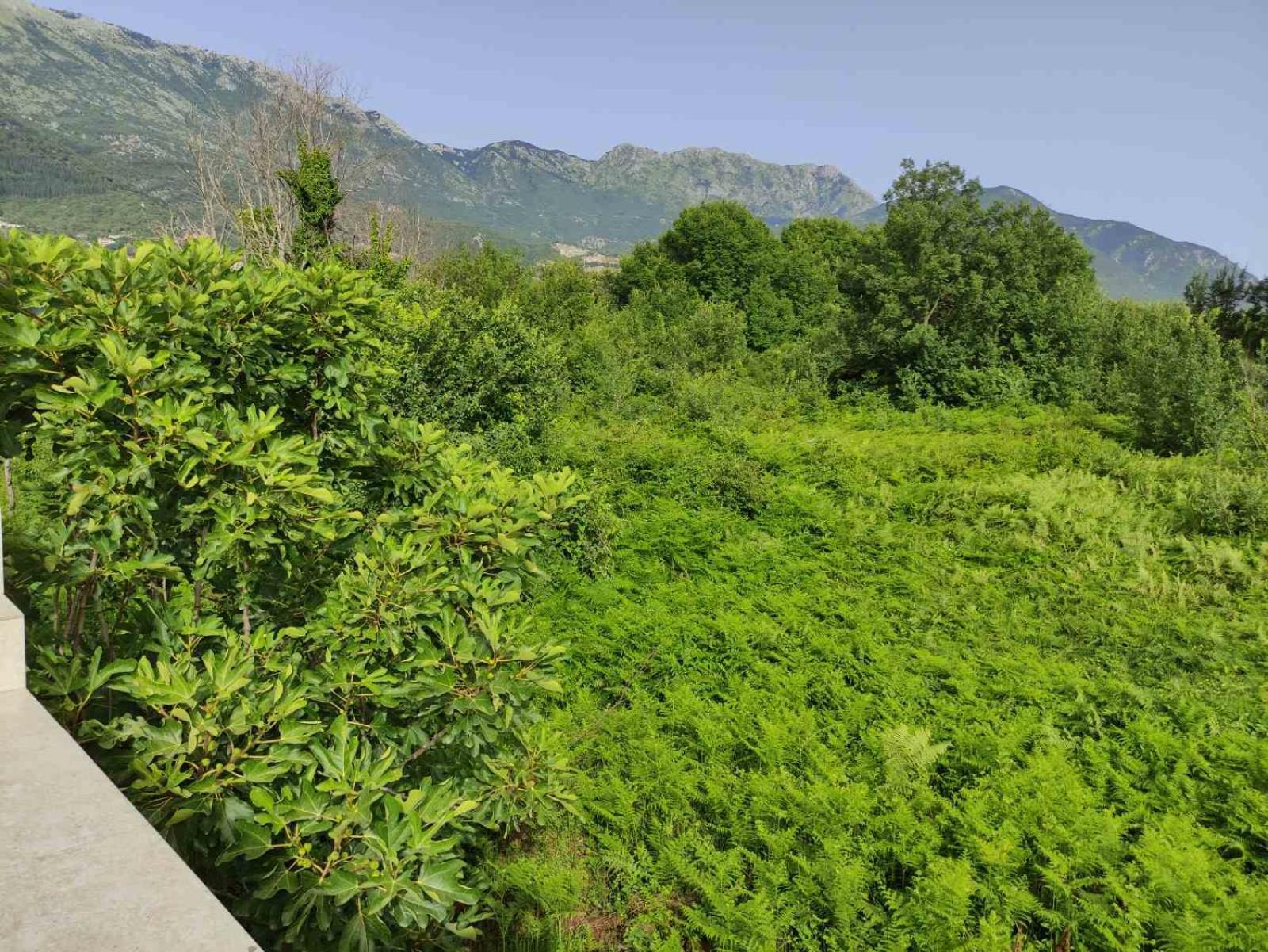 Green Valley Kotor Kültér fotó