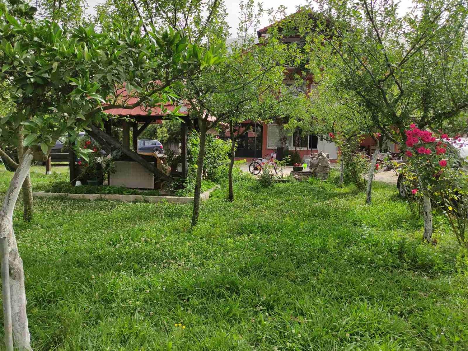Green Valley Kotor Kültér fotó