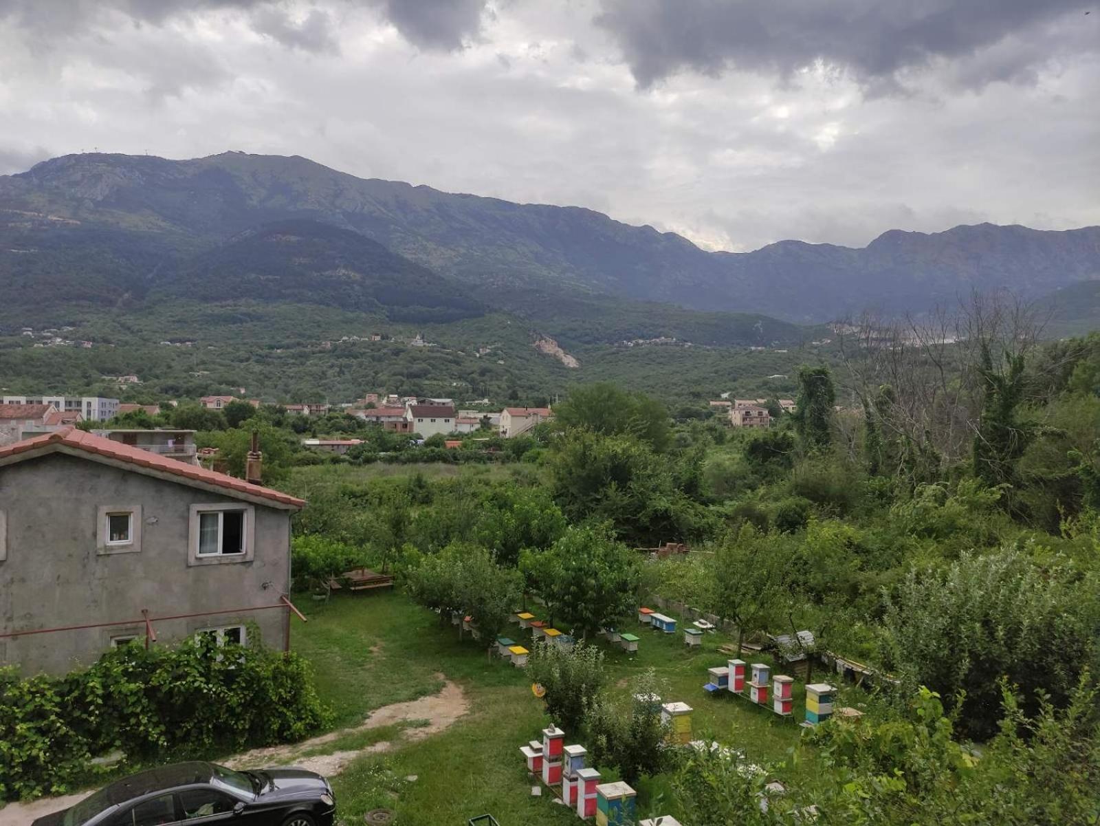 Green Valley Kotor Kültér fotó