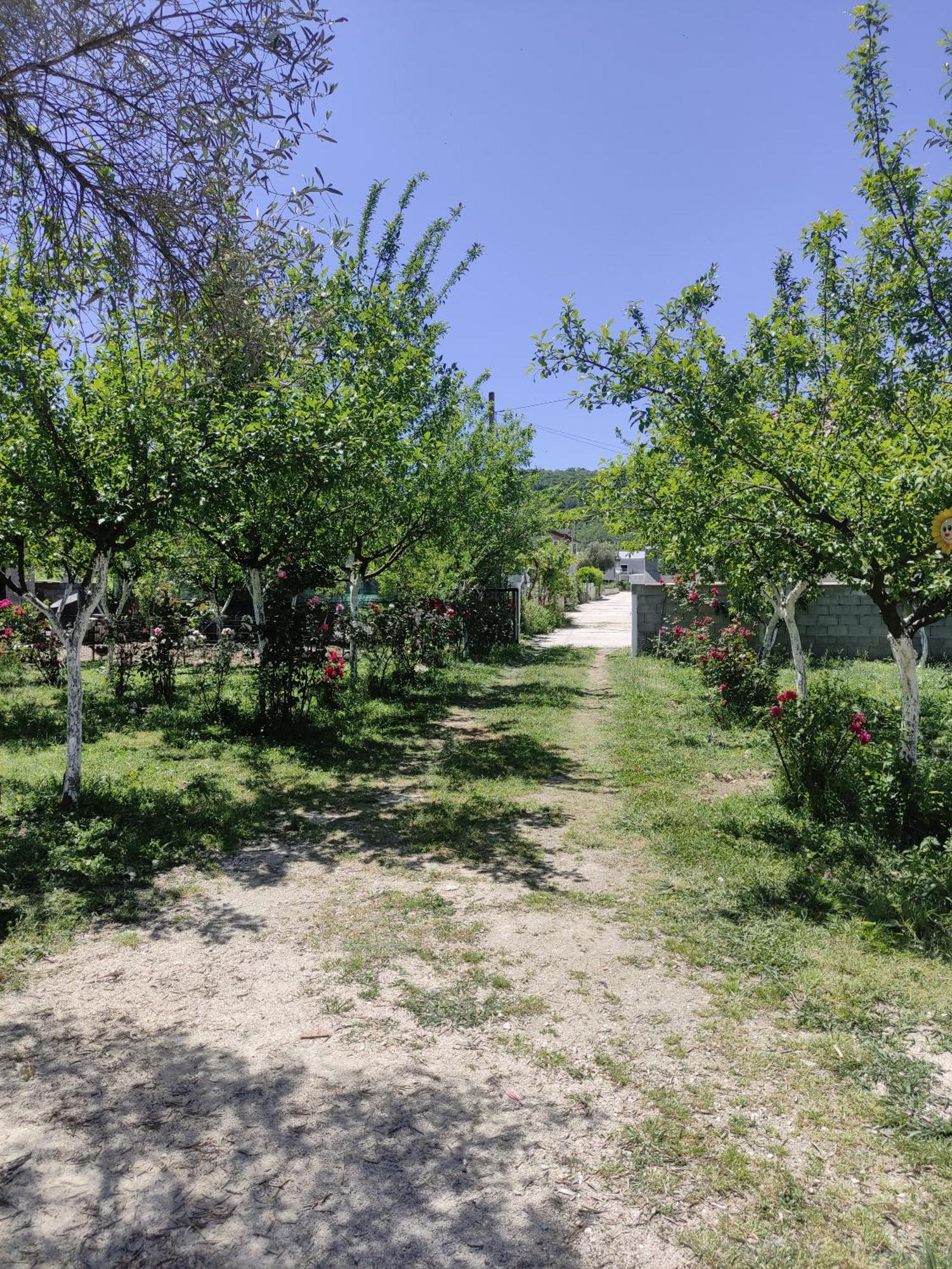 Green Valley Kotor Kültér fotó